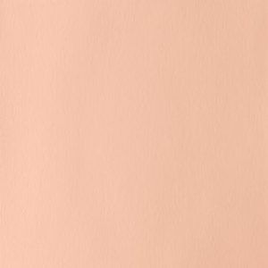 Gouache Winsor & Newton (72) Rosa Pálido 14 ml. Art.-Nr. 50958238