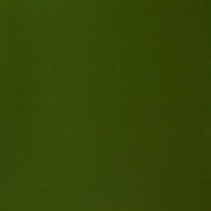Gouache Winsor & Newton (63) Verde Oliva 14 ml. Art.-Nr. 50947522