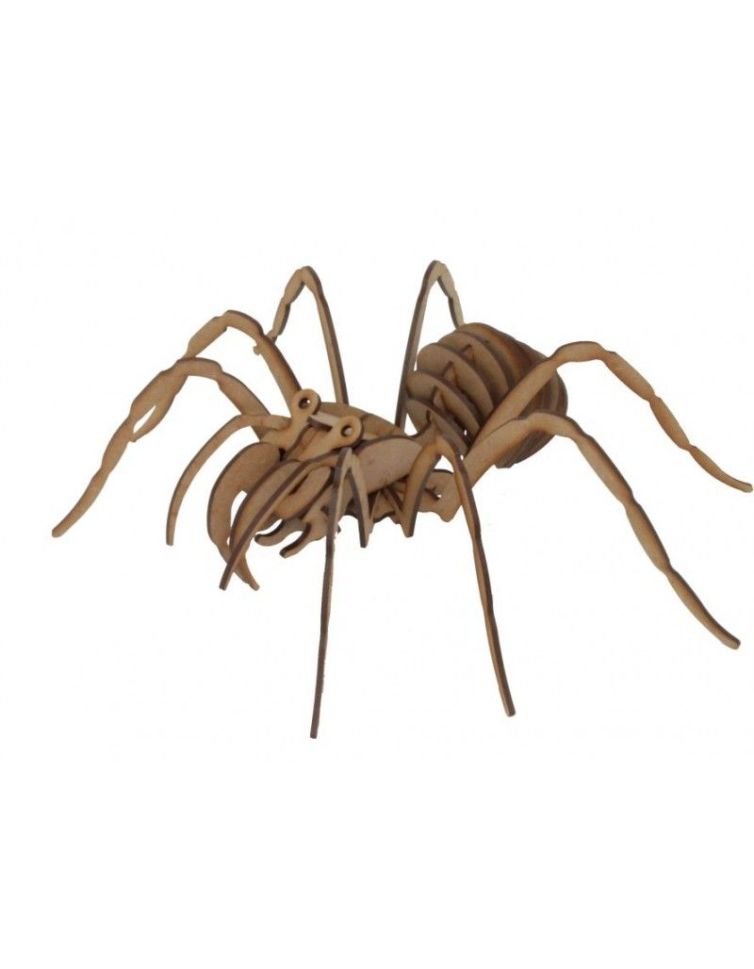 Maqueta de Madera – Tarántula Art.-Nr. 25311