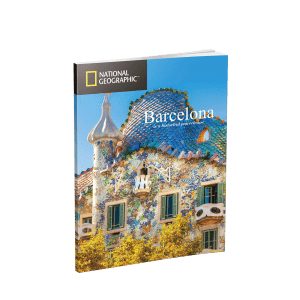 Puzzle 3D National Geographic – Sagrada Familia Art.-Nr. DS0984H