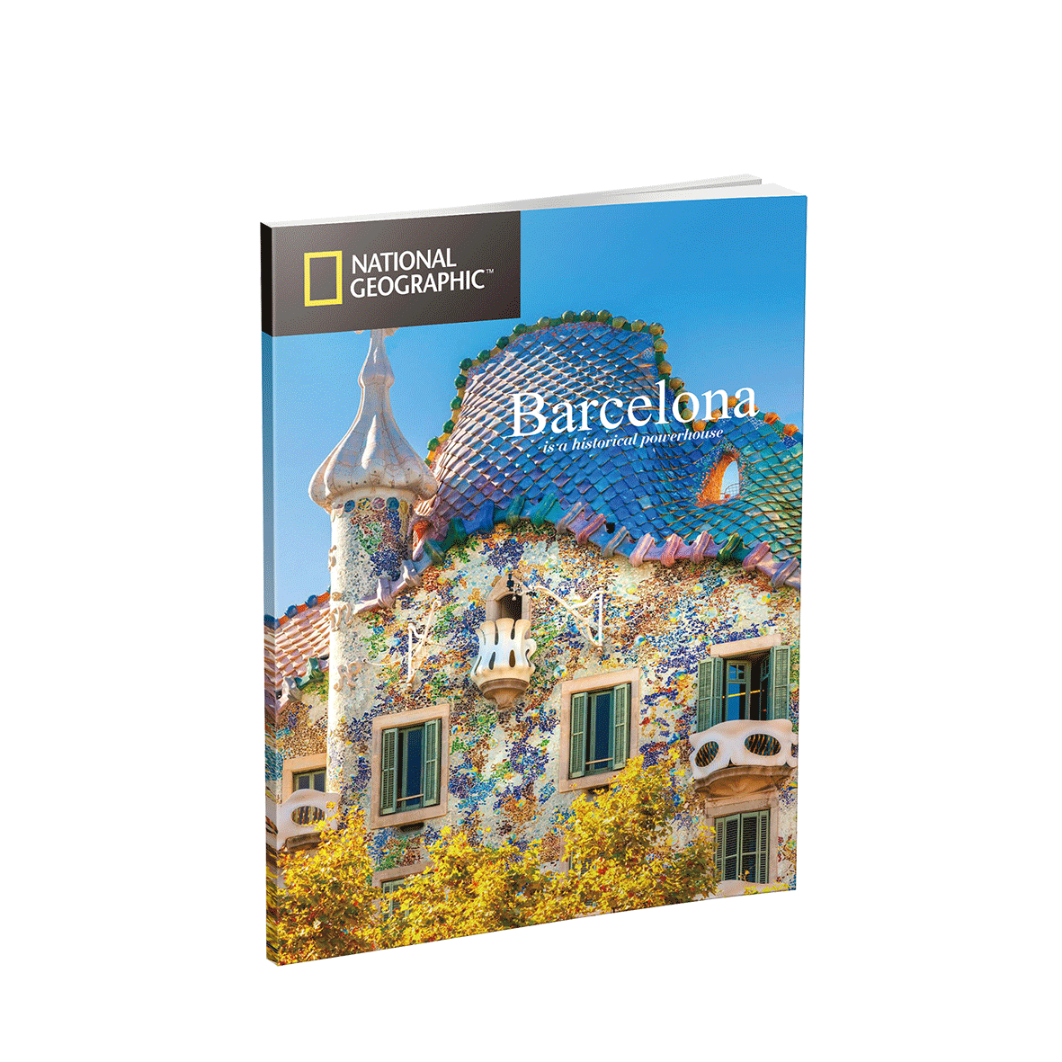 Puzzle 3D National Geographic – Sagrada Familia Art.-Nr. DS0984H