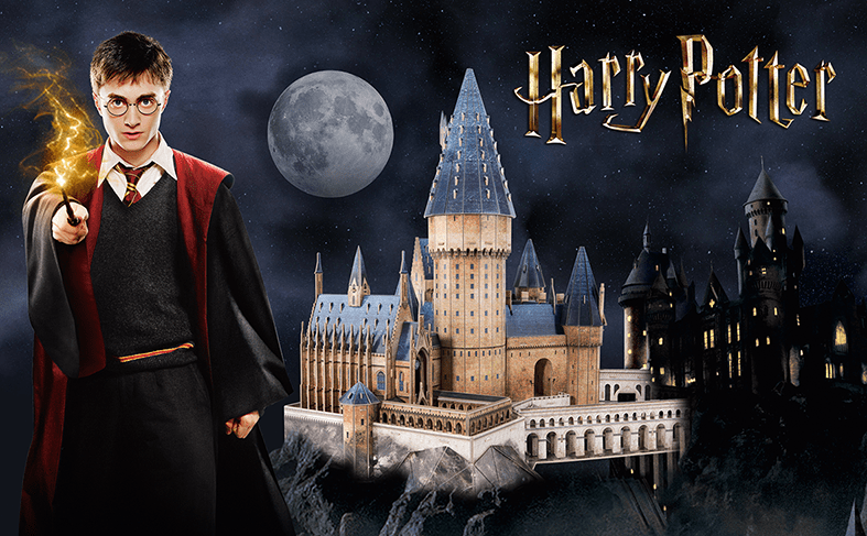 Puzzle 3D Harry Potter – Gran Salón de Hogwarts Art.-Nr. DS1011H
