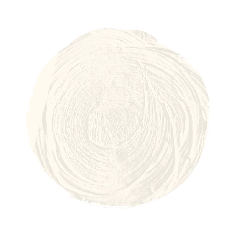 Óleo Extra Fino Titan tubo 20 ml (06) Blanco Zinc