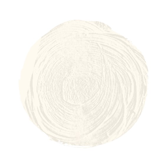 Óleo extra fino titan tubo 60 ml (06) blanco zinc