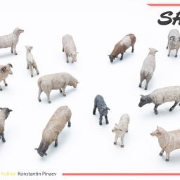 1:35 sheep art. nr. 38042