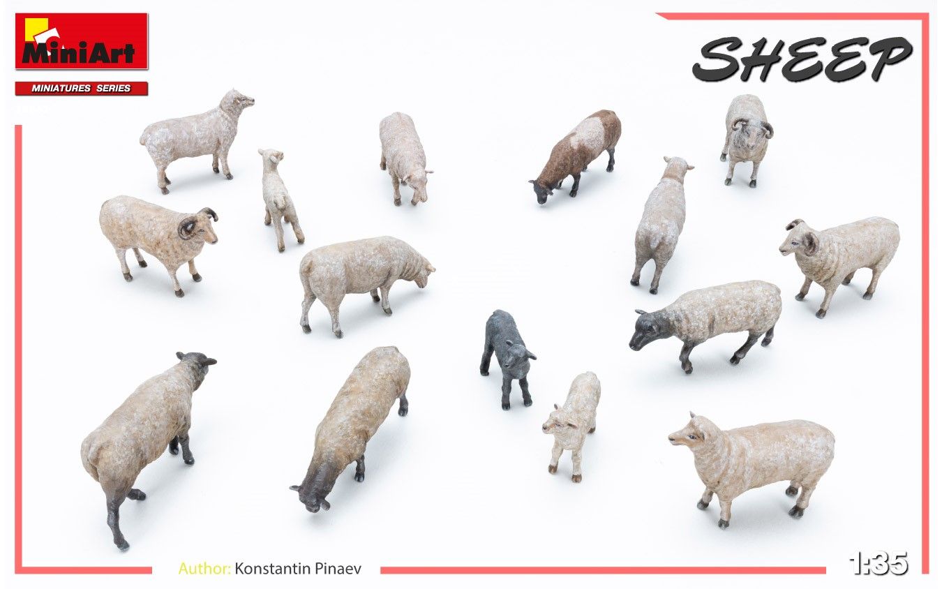 1:35 sheep art. nr. 38042