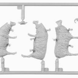 1:35 sheep art. nr. 38042