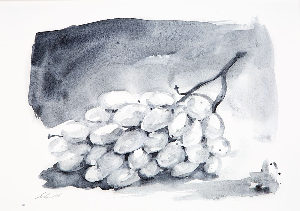 carbón líquido 3x5 ml tonos art. nr. 18758