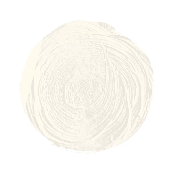 Óleo Extra Fino Titan tubo 60 ml (006) Blanco Zinc Art.-Nr. 190000610