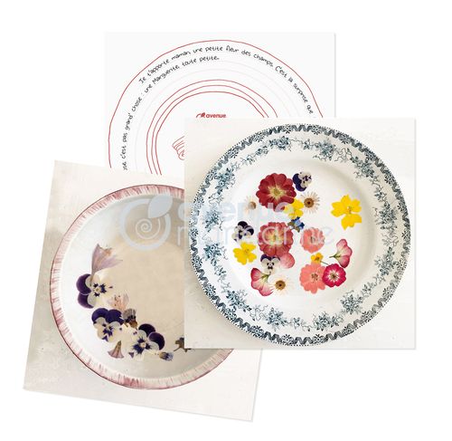 kit prensa de flores y tarjetas para decorar art. nr. kc131c