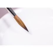 pincel serie 7 winsor & newton nº8 edición especial art. nr. 5017008