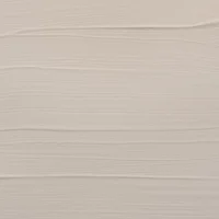 Acrílico Amsterdam Standard Series 120ml – 290 Buff Titanio Oscuro Art.-Nr. 17092902