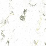 papel fantasía hecho a mano blanco fibras hojas art. nr. 634576