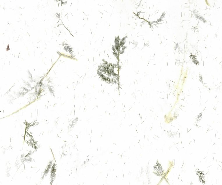 papel fantasía hecho a mano blanco fibras hojas art. nr. 634576