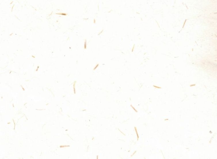 Papel fantasía hecho a mano – Blanco paja Art.-Nr. 639576