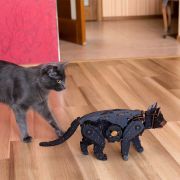 black cat art. nr. 59500259