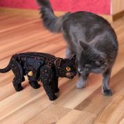black cat art. nr. 59500259