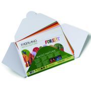 fabriano magic collection nature art. nr. s0400009