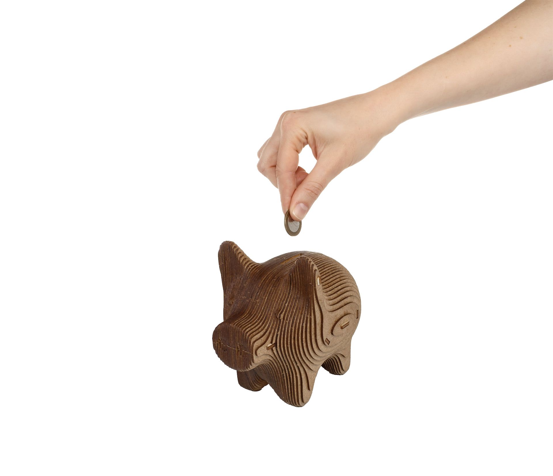 hucha para montar cerdo art. nr. 59500377