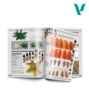 landscapes of war vol. 2 (español) art. nr. 75.033