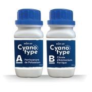 kit cyanotype enjoy art art. nr. 5142563