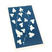 kit cyanotype enjoy art art. nr. 5142563