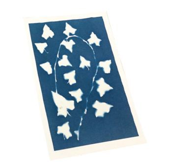 kit cyanotype enjoy art art. nr. 5142563