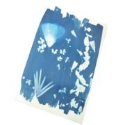 kit cyanotype enjoy art art. nr. 5142563