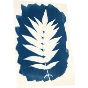 kit cyanotype enjoy art art. nr. 5142563