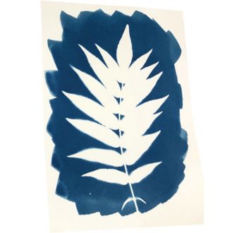 kit cyanotype enjoy art art. nr. 5142563