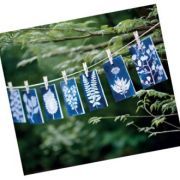 kit cyanotype enjoy art art. nr. 5142563