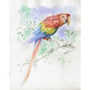 cuaderno para colorear 30x40 300g/m² 12+3 hojas art. nr. 975725c