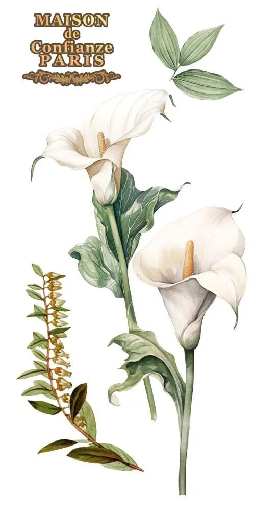 transfers decorativos 15x30cm 4 hojas calla lily art. nr. pfy 14771