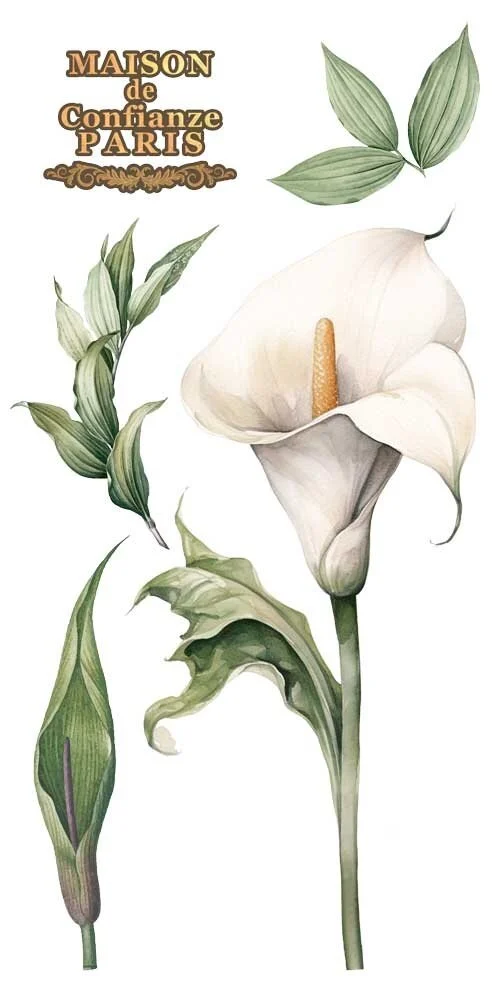 transfers decorativos 15x30cm 4 hojas calla lily art. nr. pfy 14771