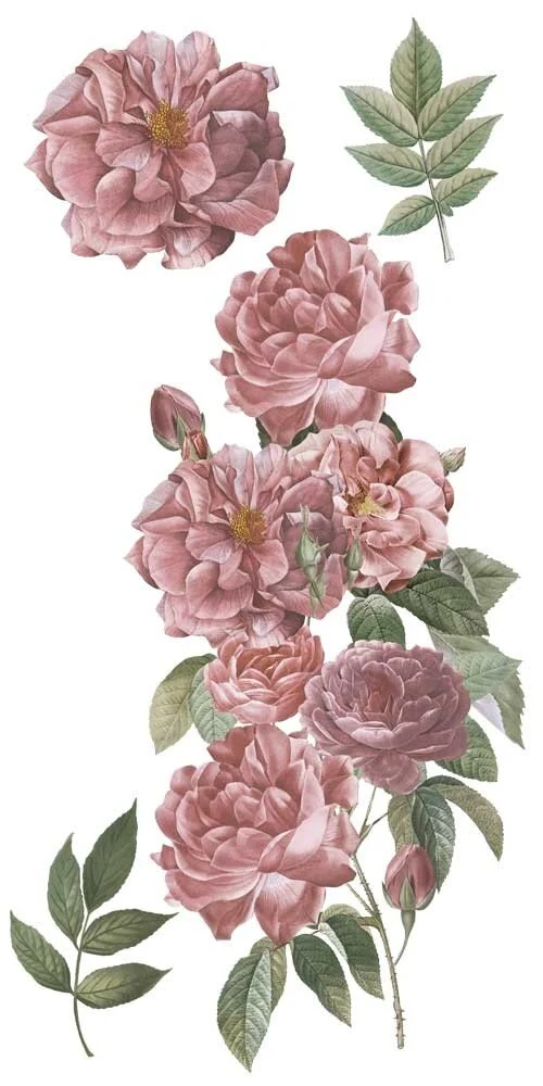 transfers decorativos 15x30cm 4 hojas roses art. nr. pfy 14765