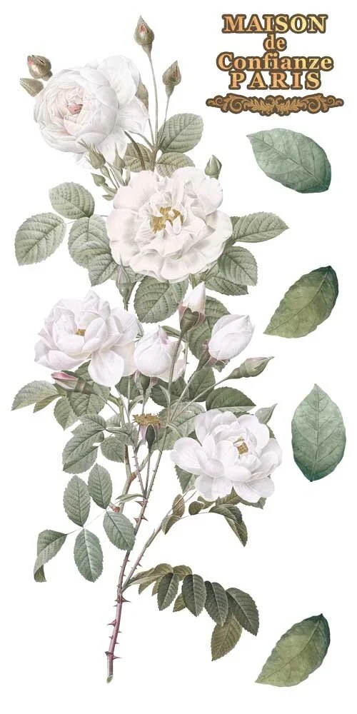 transfers decorativos 15x30cm 4 hojas roses art. nr. pfy 14765