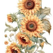 transfers decorativos 15x30cm 4 hojas sunflowers art. nr. pfy 14775