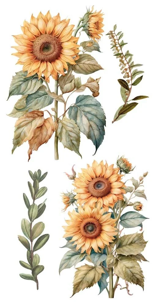 transfers decorativos 15x30cm 4 hojas sunflowers art. nr. pfy 14775