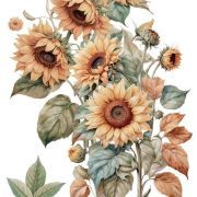 transfers decorativos 15x30cm 4 hojas sunflowers art. nr. pfy 14775