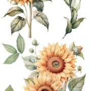 transfers decorativos 15x30cm 4 hojas sunflowers art. nr. pfy 14775