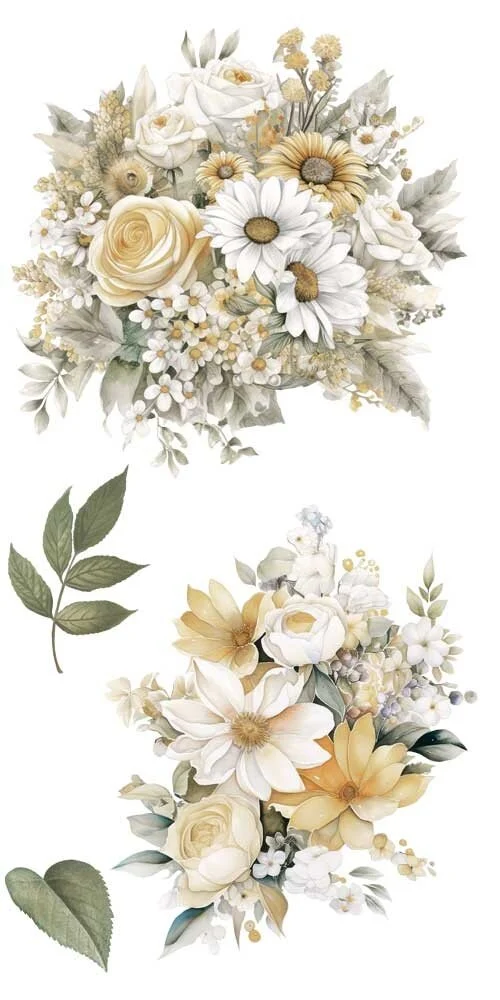 transfers decorativos 15x30cm 4 hojas daisies art. nr. pfy 14768