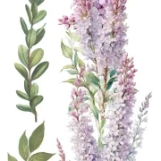 transfers decorativos 15x30cm 4 hojas lilacs art. nr. pfy 14773