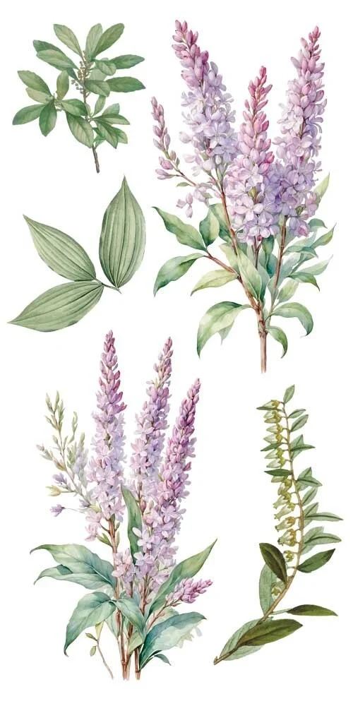 transfers decorativos 15x30cm 4 hojas lilacs art. nr. pfy 14773