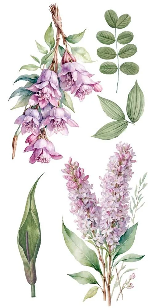 transfers decorativos 15x30cm 4 hojas lilacs art. nr. pfy 14773