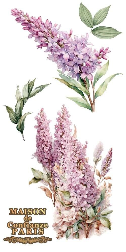 transfers decorativos 15x30cm 4 hojas lilacs art. nr. pfy 14773