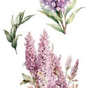 transfers decorativos 15x30cm 4 hojas lilacs art. nr. pfy 14773