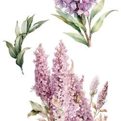 transfers decorativos 15x30cm 4 hojas lilacs art. nr. pfy 14773