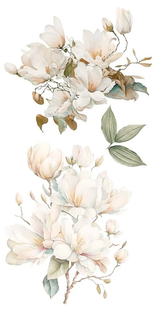 transfers decorativos 15x30cm 4 hojas magnolias art. nr. pfy 14764