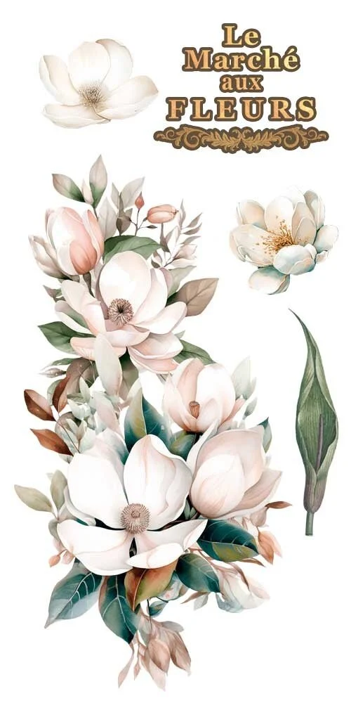 transfers decorativos 15x30cm 4 hojas magnolias art. nr. pfy 14764