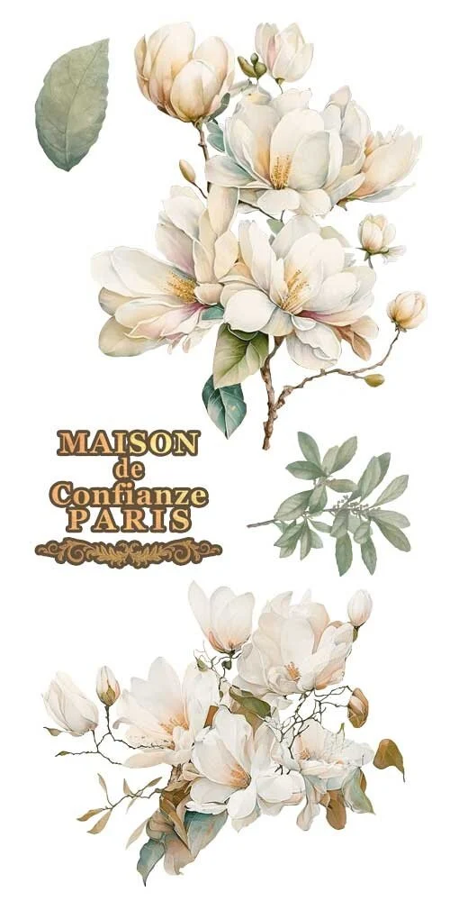 transfers decorativos 15x30cm 4 hojas magnolias art. nr. pfy 14764